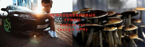 ГАЛЛЮЦИНОГЕННЫЕ ГРИБЫ Ступино