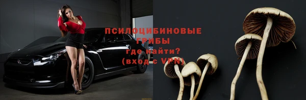 гидра Струнино