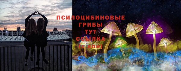 ГАЛЛЮЦИНОГЕННЫЕ ГРИБЫ Ступино