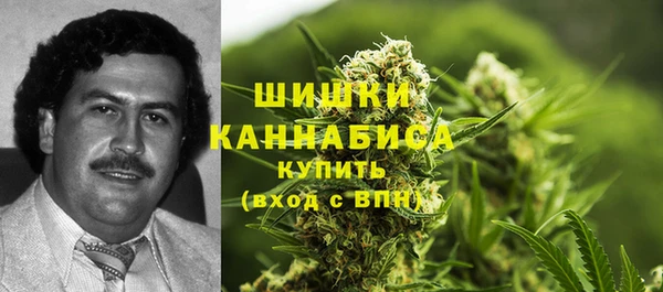 гидра Струнино