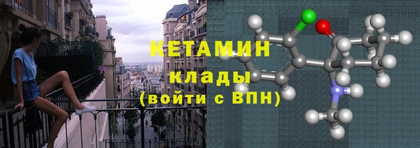 гидра Струнино