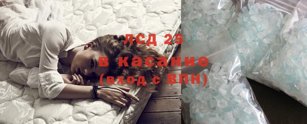 ГАЛЛЮЦИНОГЕННЫЕ ГРИБЫ Ступино